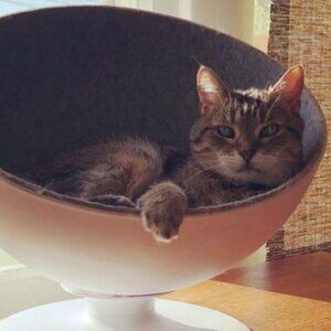 Meet your Posher, Blair